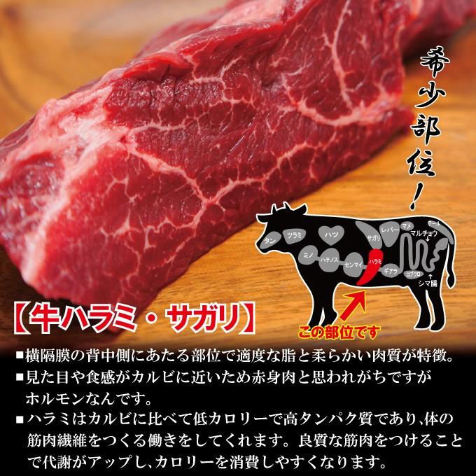 霜降り厚切り牛肉ハラミ500ｇ冷凍 米国産 焼肉 はらみ 和牛や国産に負けない味わい そうざい 男しゃく 通販 Yahoo ショッピング