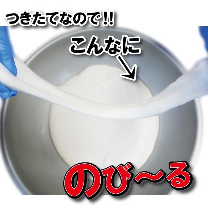 店頭受取専用 のし餅 杵つきのもち1枚当2kg 一等米使用 お餅 餅 一升
