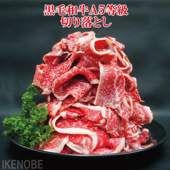 メーカー包装済 お得用黒毛和牛a5等級切り落とし500g冷凍 使い易く小分けしてます すき焼き用 牛丼用 肉じゃが煮物 国産牛肉 お歳暮 ギフト 贈り物 お取り寄せグルメ 赤身 Quran Unv Edu Sd