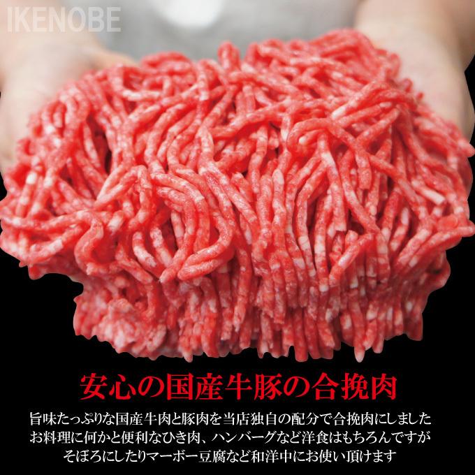 国産原料肉使用あいびきミンチ肉500g冷凍 牛70％豚30％ パラパラミンチではありません ひきにく 合挽き　ひき肉 ハンバーグ｜dansyaku｜02