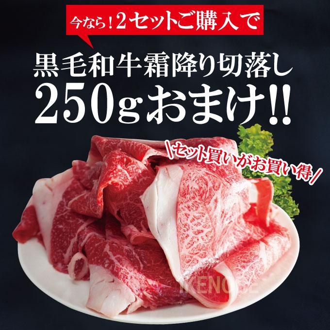 大判お得黒毛和牛A4等級サシ霜降りスライス肉すき焼き用など500g 2セット同時購入でお肉おまけしちゃいます  A4A5クラス 和牛 すき焼き用 牛丼用 肉じゃが