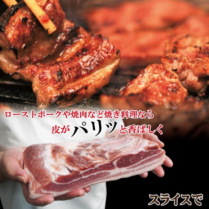 *★しらゆき★*プロフみてくださいね　豚バラ　鴨肉　テリーヌ　サルシッチャ 楽天市場】皮付き豚バラブロック 約1KG【1点】冷凍 手には