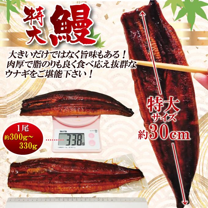 特特大うなぎ蒲焼き1尾 300g以上冷凍たれ山椒付き 中国産 土用の