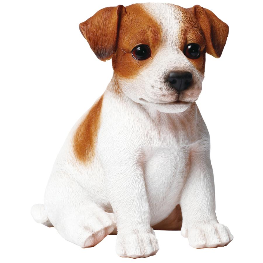 ガーデンオーナメント ジャック ラッセルテリア 子犬 リアル 置物 庭 かわいい 動物 本物そっくり オブジェ おしゃれ ガーデニング 外国風 お座り 赤ちゃん ダントツonline Yahoo 店 通販 Yahoo ショッピング