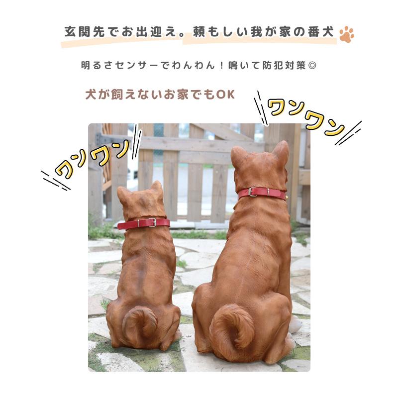 ガーデンオーナメント 吠える ワンワンリキ 庭 置物 犬 リアル かわいい 明暗センサー 感知式 犬型 動物 アニマル 柴犬 防犯センサー｜dantotsu-online｜02