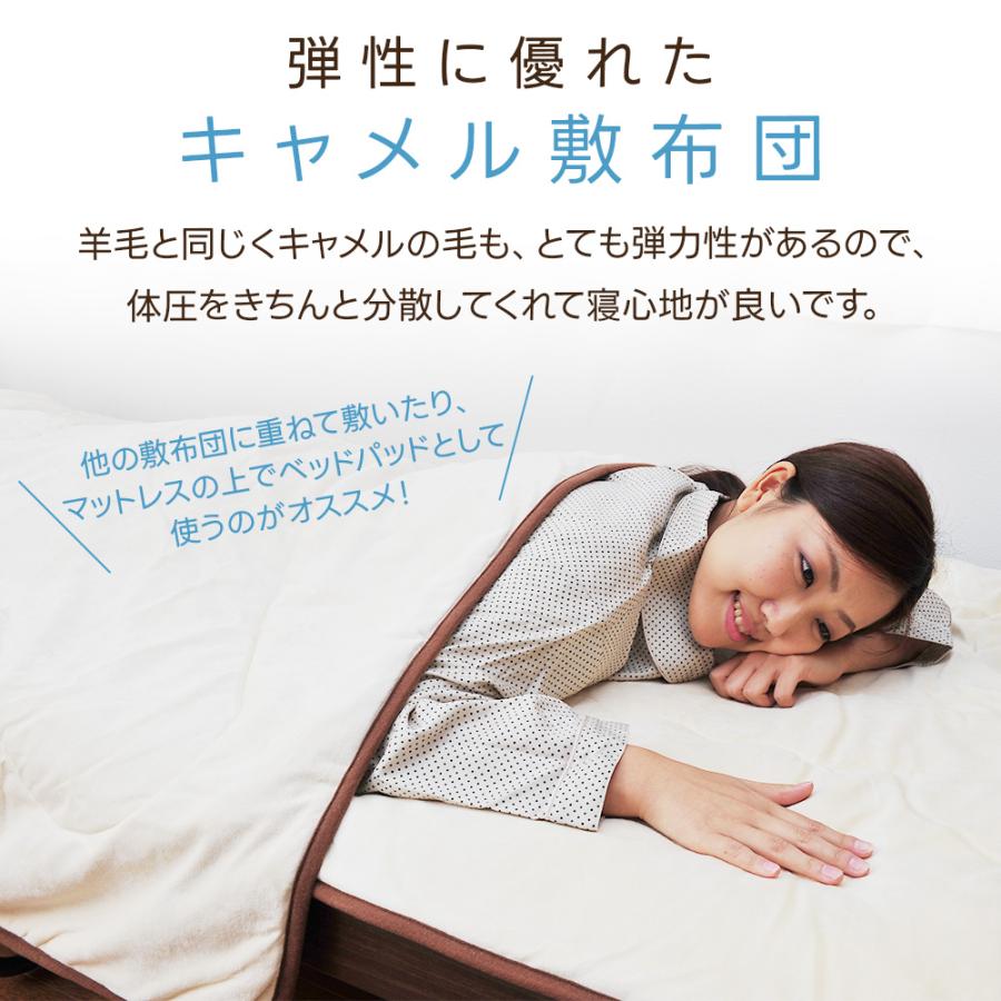 掛布団 単品 キャメル毛布 シングル 保温 中材キャメル100