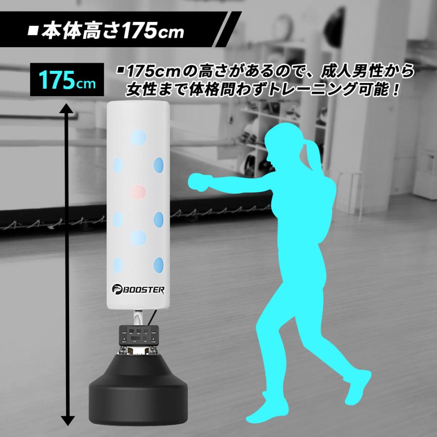 L.L.Bean トートバッグ ナンガ(NANGA) ×3ten 別注 オーロラ シュラフ 600DX NANGA