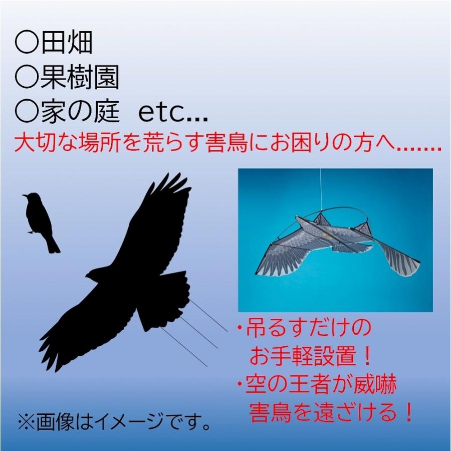 害鳥対策グッズ 鳥除け まいっ鷹 農作物保護 カイト スケアクロウ かかし 防鳥 鳥害被害 カラス駆除 害獣対策 竿 幅180cm ポール シンセイ カイト 凧 ダントツonline Yahoo 店 通販 Yahoo ショッピング