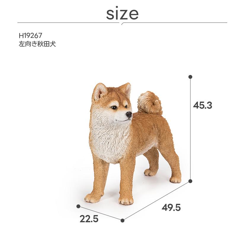 秋田犬 犬 いぬ オブジェ オーナメント ガーデンオーナメント 置物
