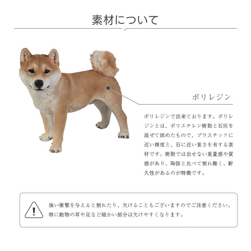 秋田犬 犬 いぬ オブジェ オーナメント ガーデンオーナメント 置物