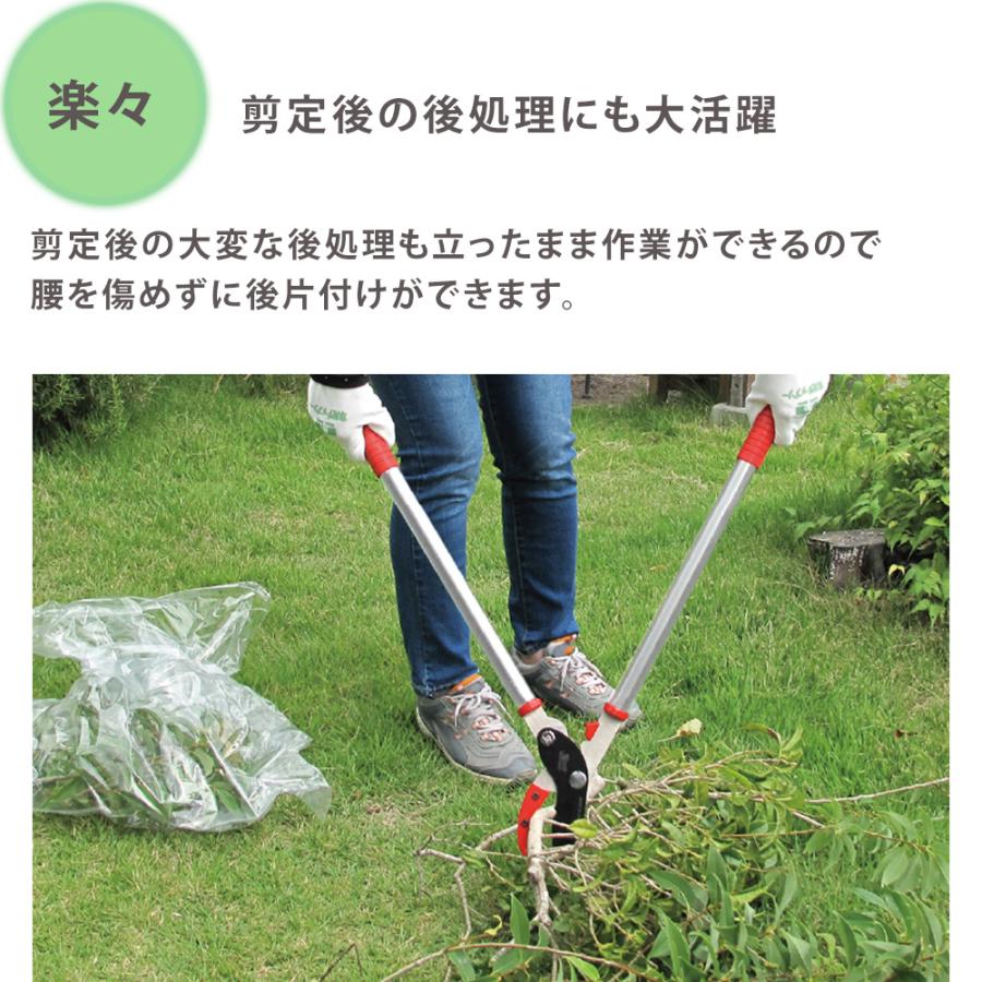 軽量 太枝切鋏 剪定 ハサミ ZACT 太枝切りばさみ 切断工具 62cm 軽量 太枝切鋏 剪定 ハサミ ZACT 太枝切りばさみ 切断工具 62cm