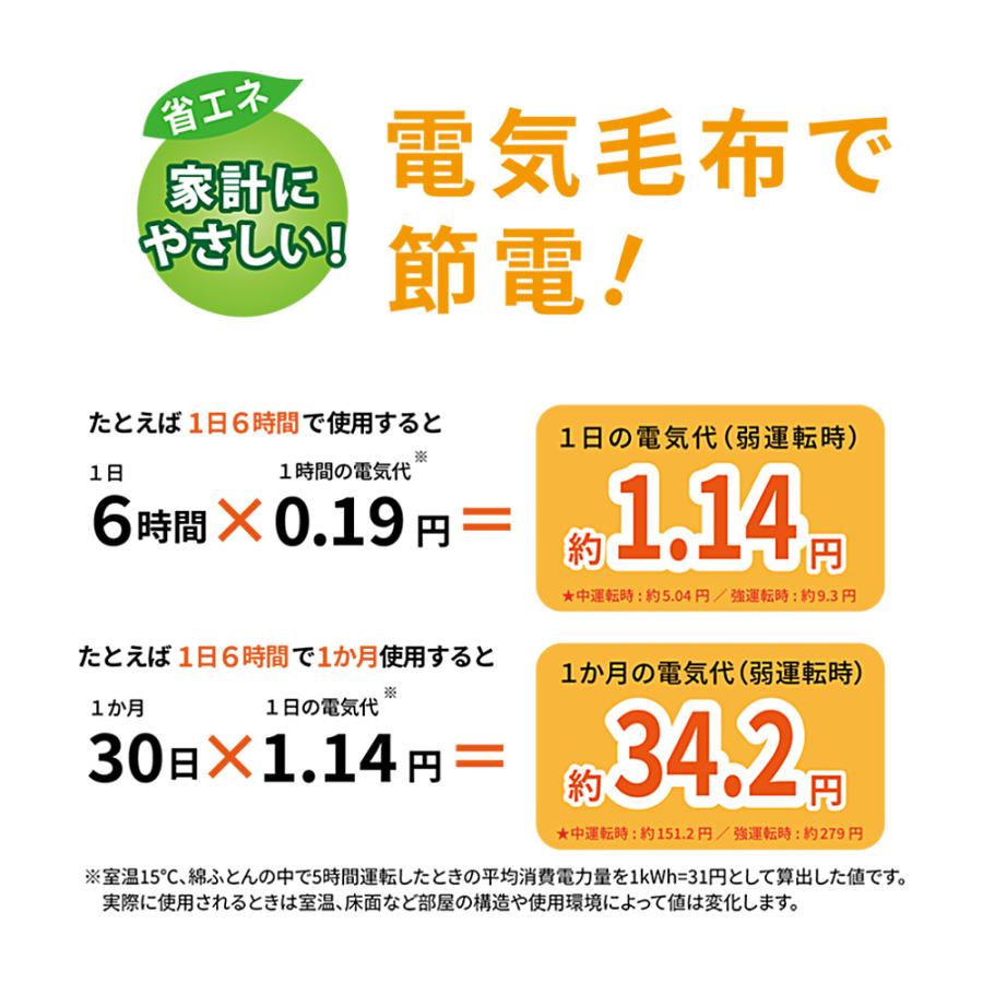 広電（KODEN） 電気毛布 大きいサイズ 掛け 敷き CWD801G-HT CWD803G