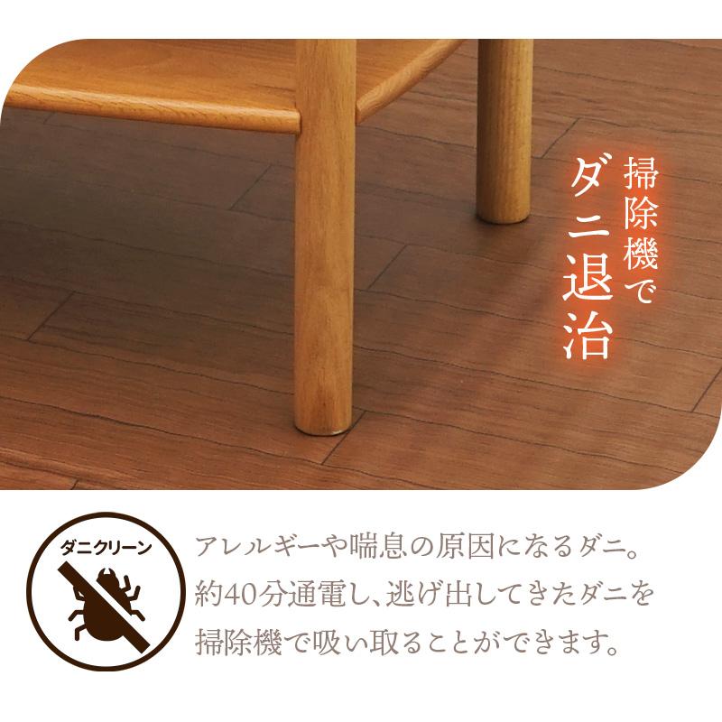フローリング調 ホットカーペット コンパクト 小さい 1畳 電気 