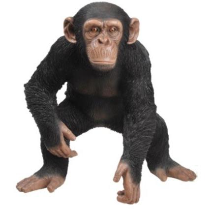 ガーデンオーナメント チンパンジー はっけよい サル 置き物 庭 置物 リアル 園芸 ガーデニング おしゃれ 外国風 精巧 アニマル 動物 Hakkeyoi ダントツonline Yahoo 店 通販 Yahoo ショッピング