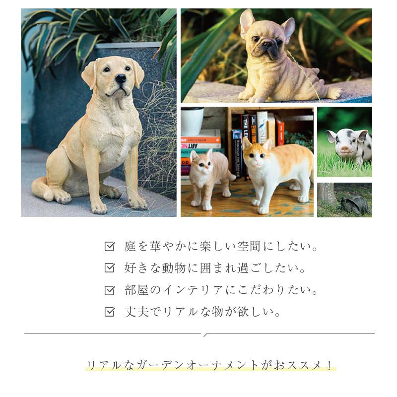 お座り柴犬 柴犬 犬 いぬ オブジェ オーナメント ガーデンオーナメント 置物 ガーデニング リアル アニマル 動物 かわいい ペット 人形 ウービア woobia｜dantotsu-online｜06