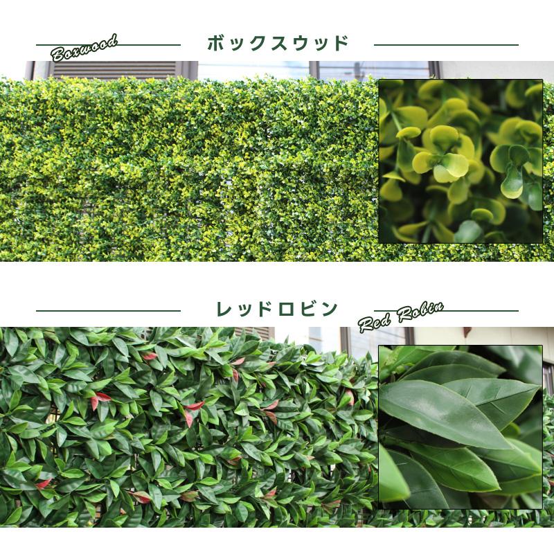 グリーンフェンス ボックスウッド 2m 1m×1m 2個セット 目隠し 緑の