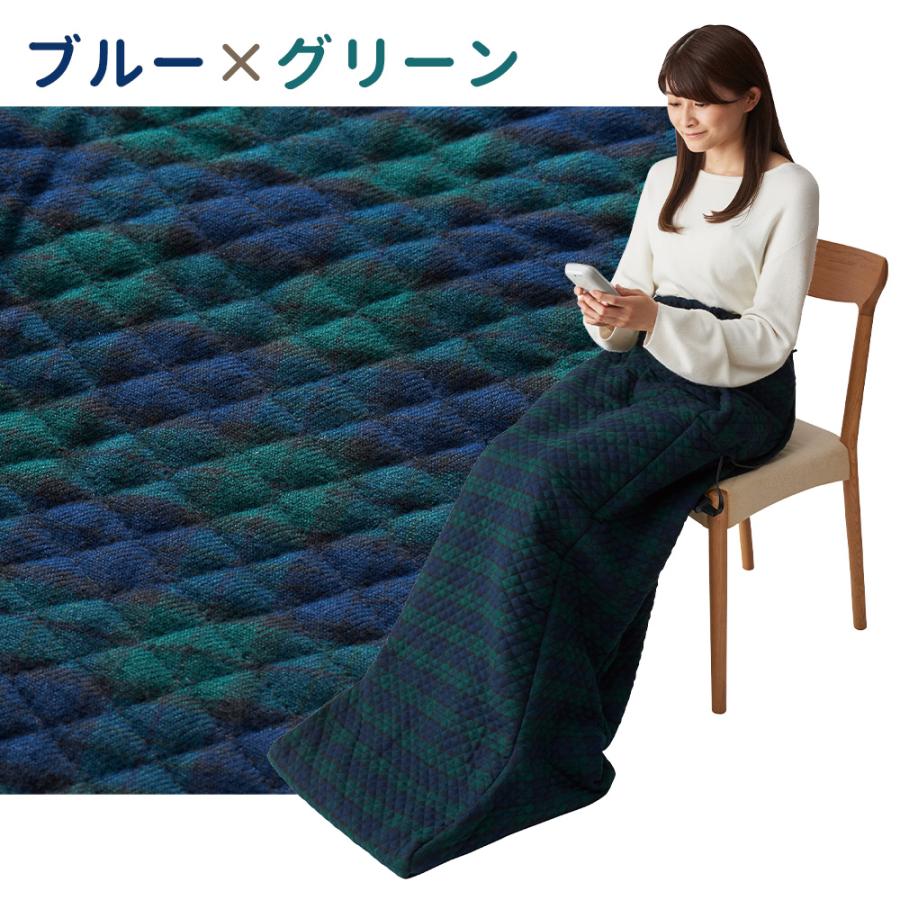 椙山紡織 電気毛布 小さい あったか 脚入れヒーター SB22AH20 足 椙山紡織 電気毛布 小さい あったか 脚入れヒーター SB22AH20 足