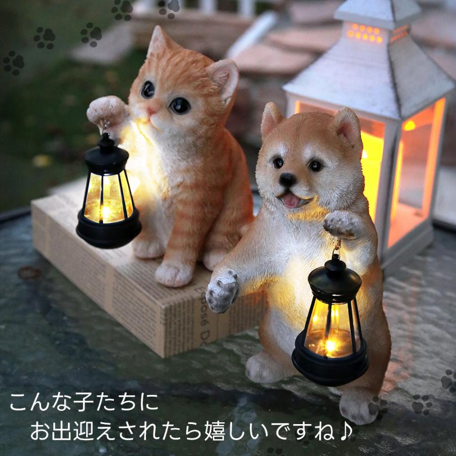 犬と猫のエマージェンシー対応 Amazon.co.jp: 犬と猫のエマージェンシー対応 すぐに検索！臨床