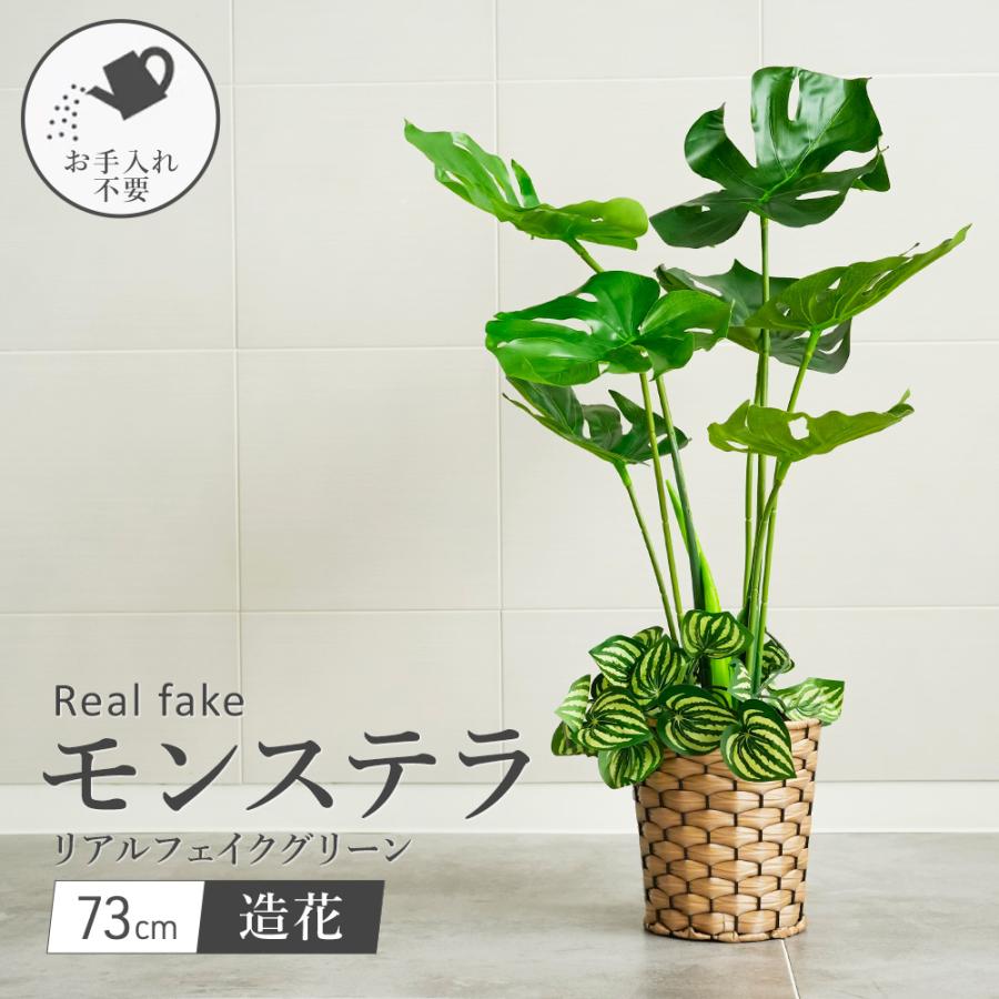 フェイクグリーン モンステラ 観葉植物 フェイク 大型 73cm 人工観葉植物 鉢植え 造花 インテリア  贈り物 プレゼント（Yahoo!・ダントツonline Yahoo!店）