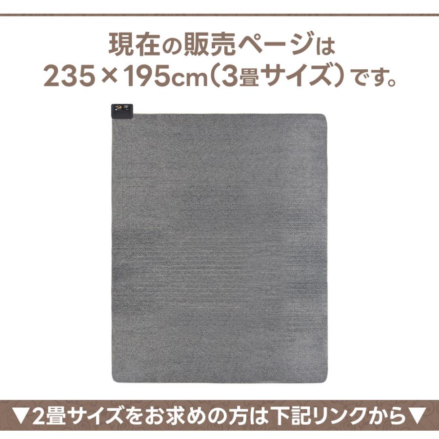 広電 電気カーペット ホットカーペット 洗えるカバー付き 絨毯