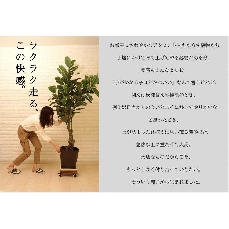 植木鉢置き台 キャスター付き 屋内 フラワースタンド 2台セット 人工木 Wpc プランターラック 台車 おしゃれ ガーデンラック プランターベース 花台 Wpcplanter ダントツonline Yahoo 店 通販 Yahoo ショッピング