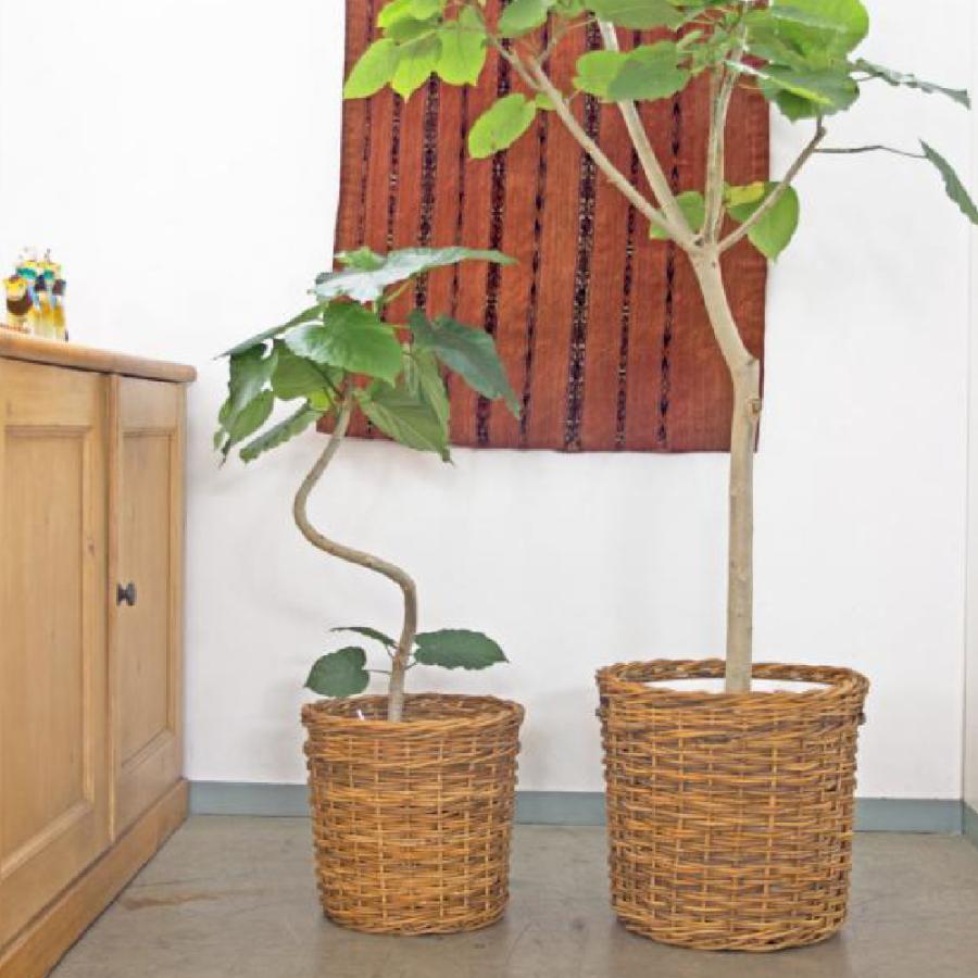 国内外の人気 植木鉢 プランターカバーs 直径34cm 底直径27cm ラタン 籐 ナチュラル バスケット かわいい おしゃれ 観葉植物 鉢カバー 7号 8号 Aynaelda Com