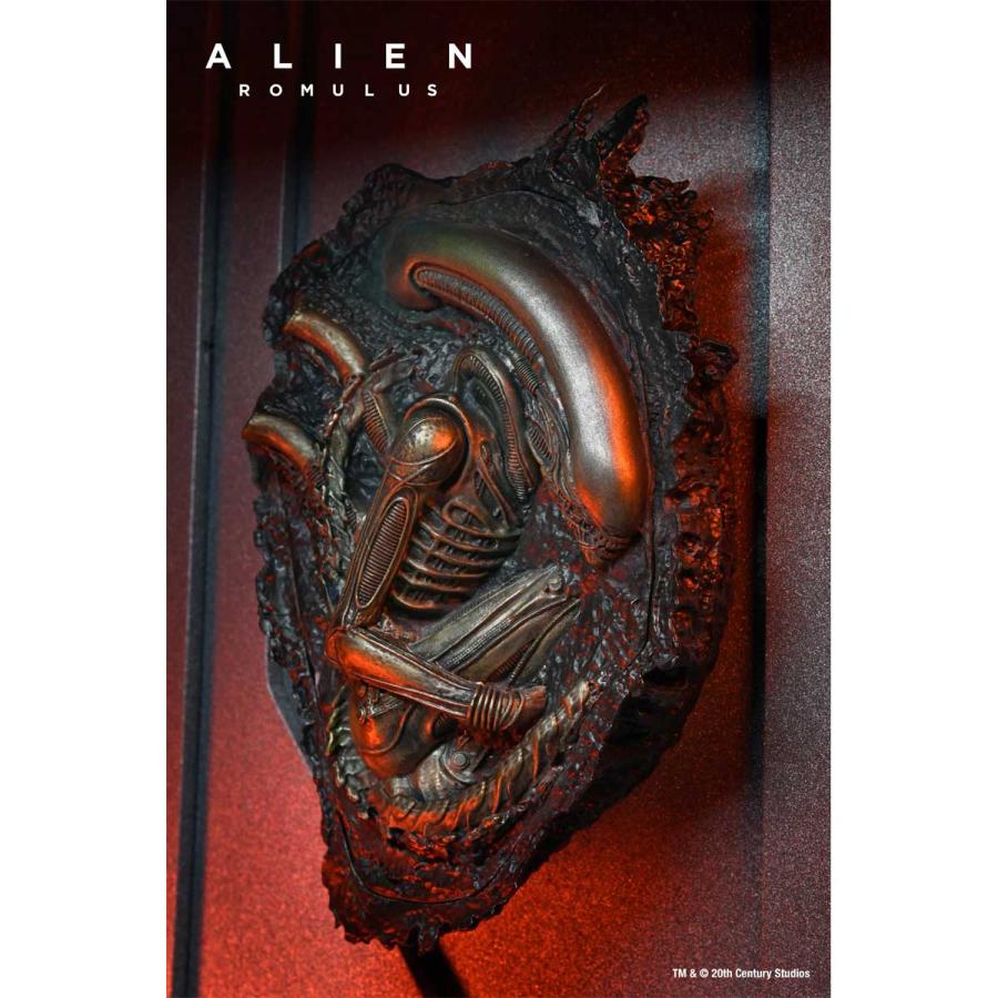 エイリアン ロムルス アクセサリーセット : ダークサイド ヤフー店