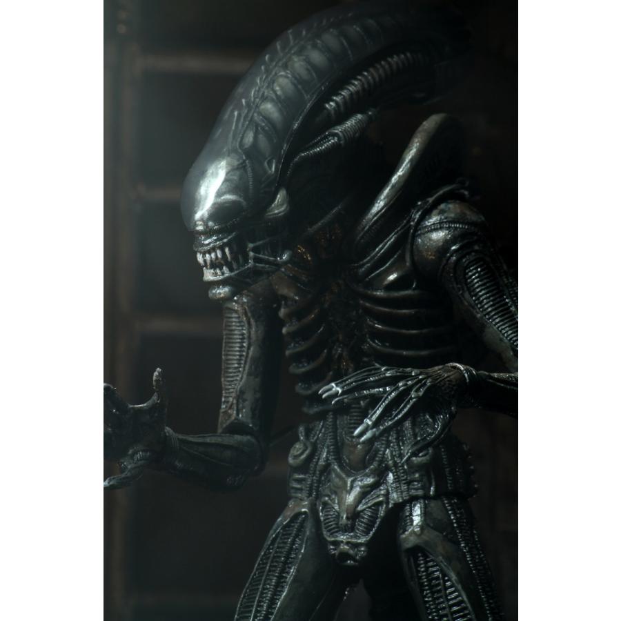 エイリアン ビッグチャップ  40th アニバーサリー 7インチ アルティメット 7インチ アクションフィギュア | 