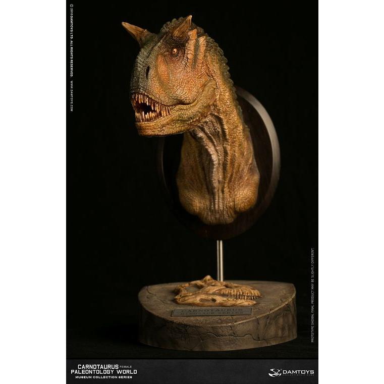 ミュージアムコレクションシリーズ/ カルノタウルス メス バスト Aカラー ver MUS006A | 