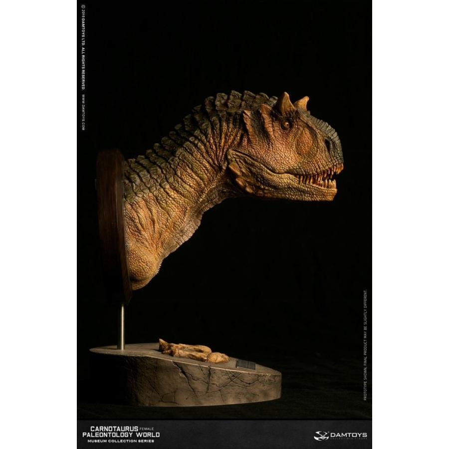 ミュージアムコレクションシリーズ/ カルノタウルス メス バスト Aカラー ver MUS006A |  | 01