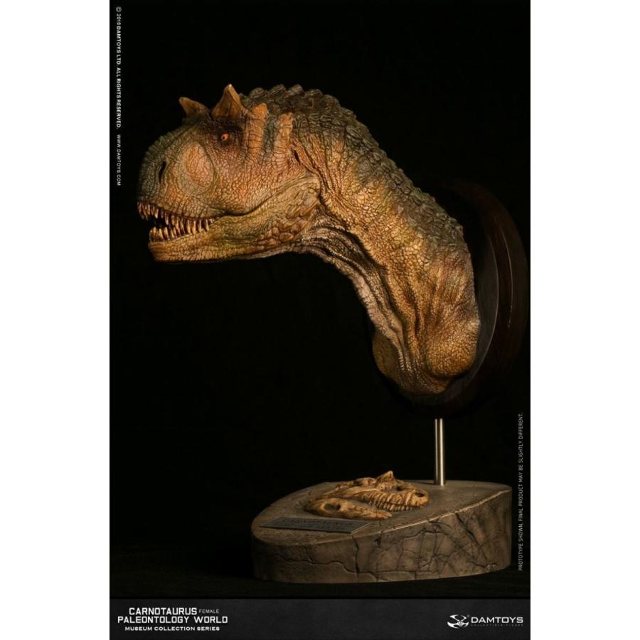 ミュージアムコレクションシリーズ/ カルノタウルス メス バスト Aカラー ver MUS006A |  | 02