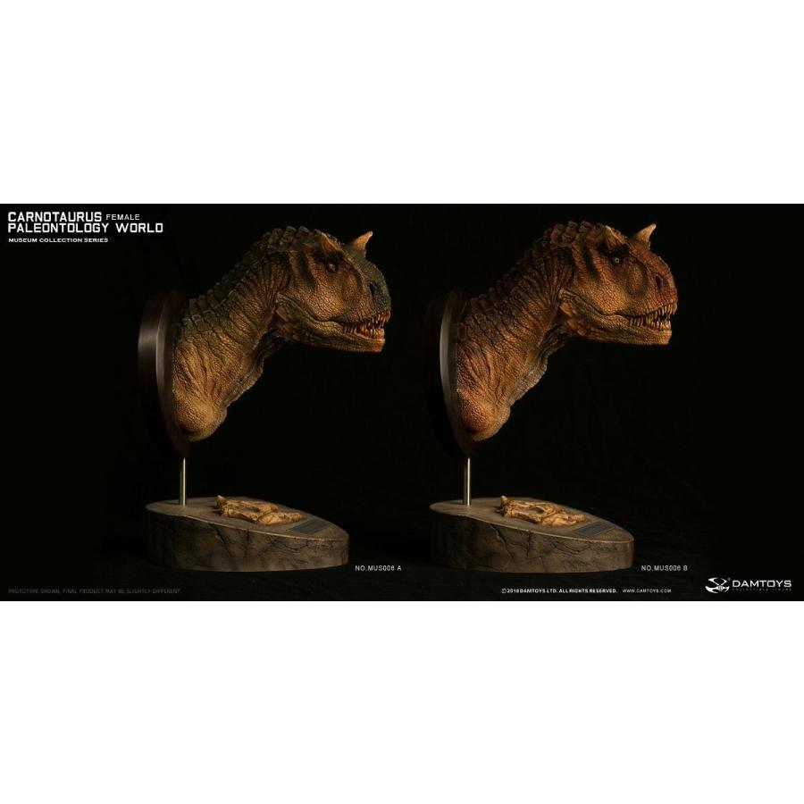 ミュージアムコレクションシリーズ/ カルノタウルス メス バスト Aカラー ver MUS006A |  | 04