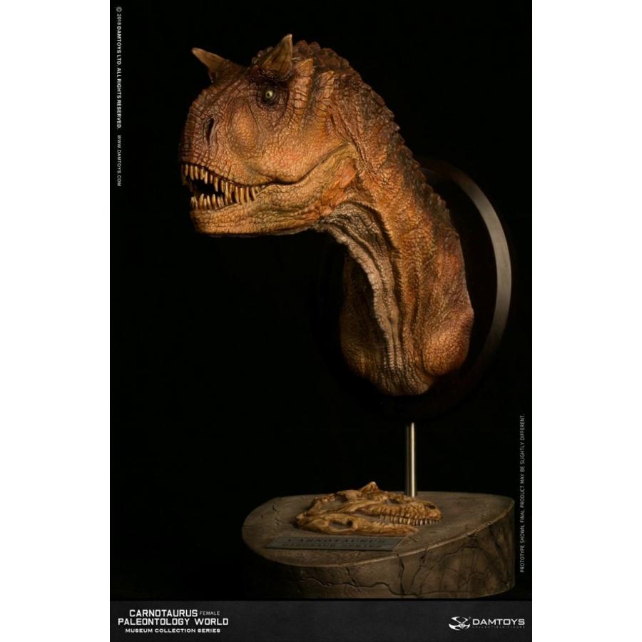 ミュージアムコレクションシリーズ/ カルノタウルス メス バスト Bカラー ver MUS006B | 