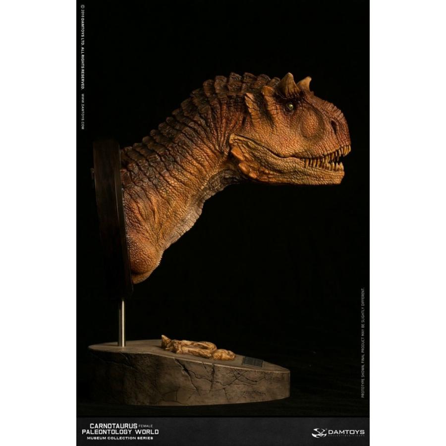 ミュージアムコレクションシリーズ/ カルノタウルス メス バスト Bカラー ver MUS006B |  | 01