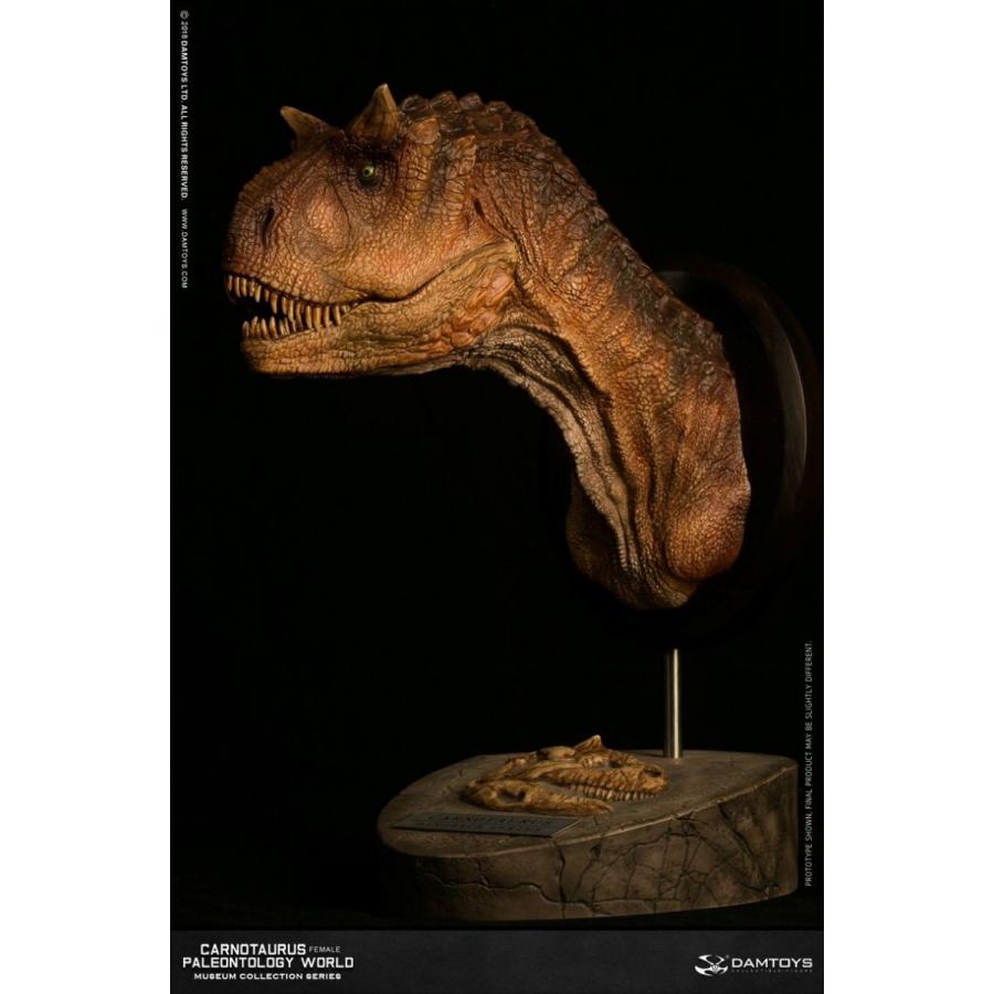 ミュージアムコレクションシリーズ/ カルノタウルス メス バスト Bカラー ver MUS006B |  | 02