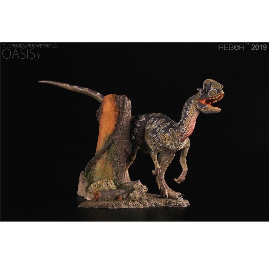 Rebor ディロフォサウルス 1/18スケール フィギュア オアシス : ダーク