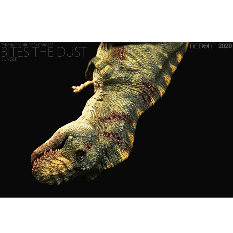 Rebor 　ティラノサウルス　T-rex　1/35スケール　フィギュア　バイトver. |  | 02