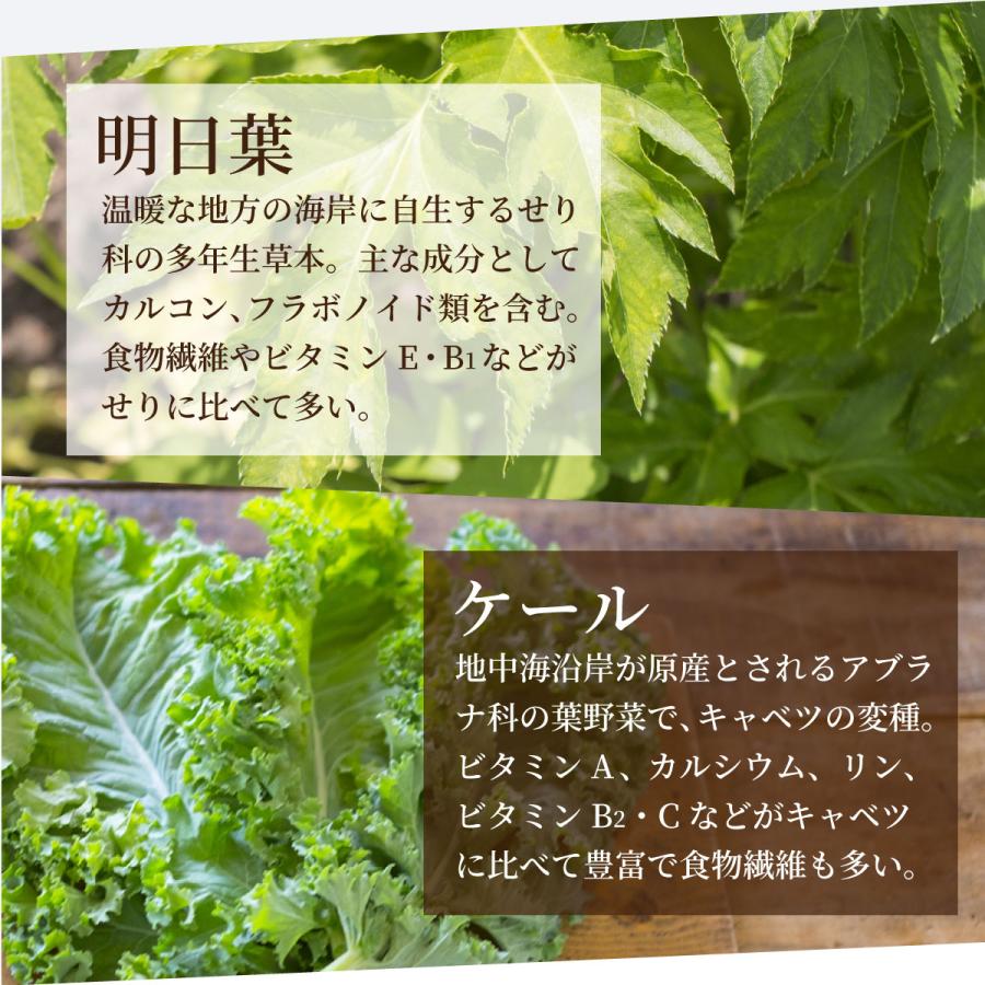 植物酵素の青汁ゼリー【30包】【送料無料】121種の食物酵素 フェカリス菌で腸活 プラセンタ 酵素 青汁 ゼリー 栄養補給 野菜不足 |  | 03