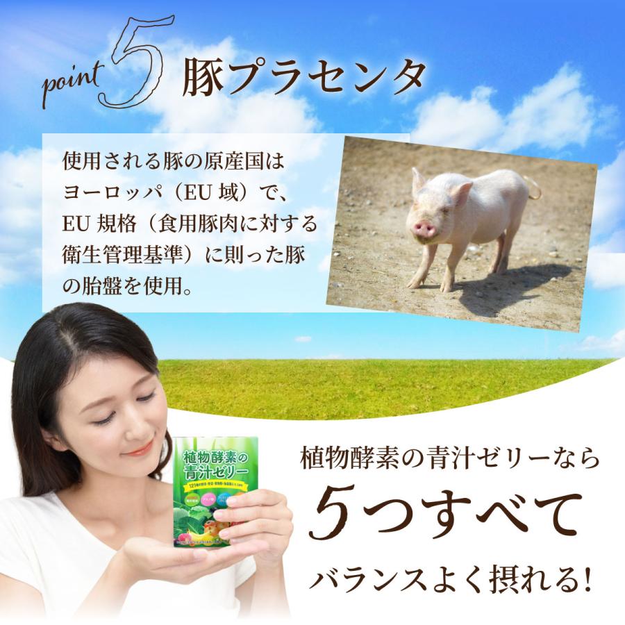 植物酵素の青汁ゼリー【30包】【送料無料】121種の食物酵素 フェカリス菌で腸活 プラセンタ 酵素 青汁 ゼリー 栄養補給 野菜不足 |  | 05