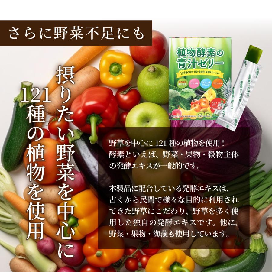 植物酵素の青汁ゼリー【30包】【送料無料】121種の食物酵素 フェカリス菌で腸活 プラセンタ 酵素 青汁 ゼリー 栄養補給 野菜不足 |  | 06