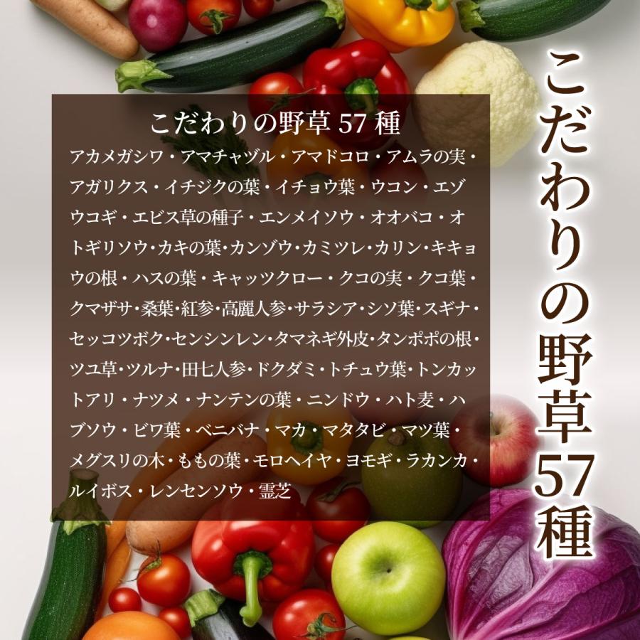 植物酵素の青汁ゼリー【30包】【送料無料】121種の食物酵素 フェカリス菌で腸活 プラセンタ 酵素 青汁 ゼリー 栄養補給 野菜不足 |  | 07