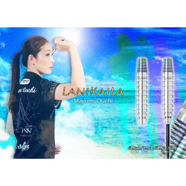 DYNASTY(ダイナスティー) A-FLOW BLACK LINE コーティングタイプ