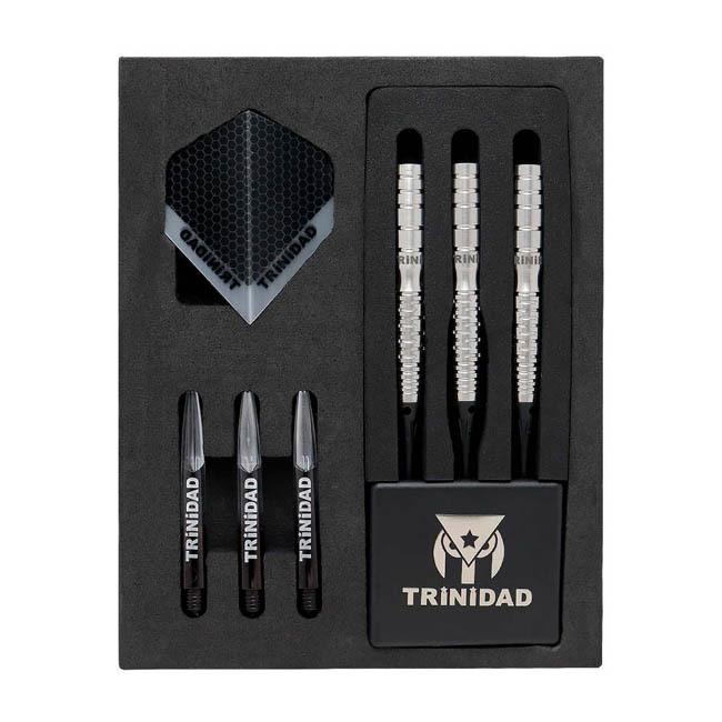 TRINIDAD ADRIAN TYPE2 ダーツセット TRiNiDAD PRO(トリニダードプロ) ADRIAN Type2(エイドリアン タイプ2