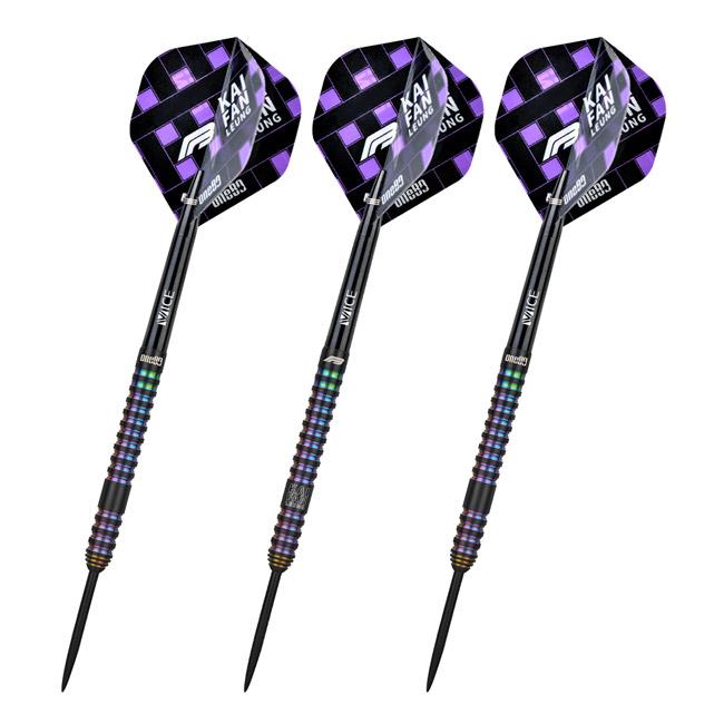 ダーツ　FBリョンモデル2 スティール 22g ケースと替えの先のセット One80(ワンエイティ) FB Leung ver.2 STEEL 22g FBリョン選手モデル