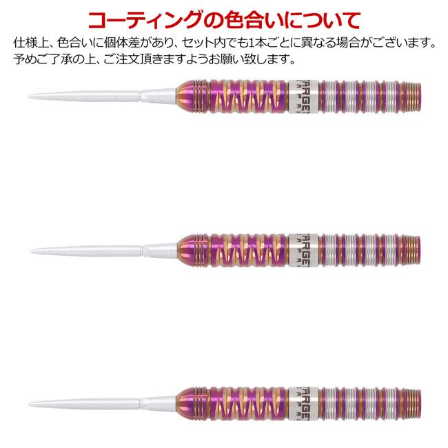 TARGET JAPAN(ターゲットジャパン) ENDEAVOUR G2(エンデバー