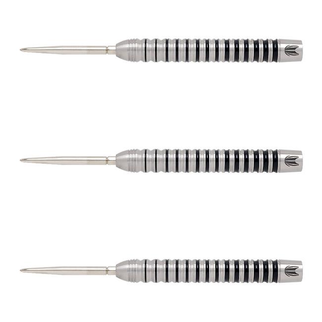 TARGET(ターゲット) EXO(エクソ) 01 SWISS POINT STEEL 22g