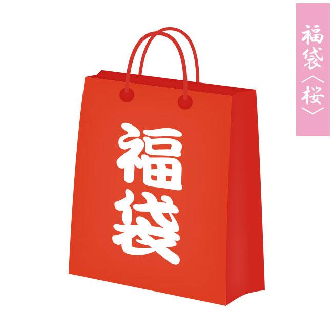 数量限定】ダーツハイブ福袋2024 ＜桜＞ : ダーツハイブ ヤフー店