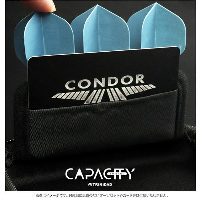 CONDOR AXE & TRINIDAD ダーツ バレル ダーツケース付き CONDOR AXE & TRINIDAD ダーツ バレル ダーツケース付き