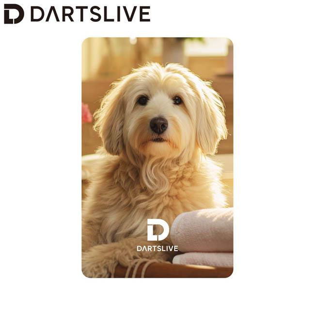 DARTSLIVE CARD #057 ＜07＞ (ダーツ カード) : ダーツハイブ