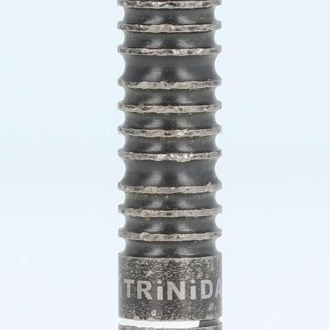 中古 Used ダーツ】 TRiNiDAD(トリニダード) Undisputed Gomez Type14